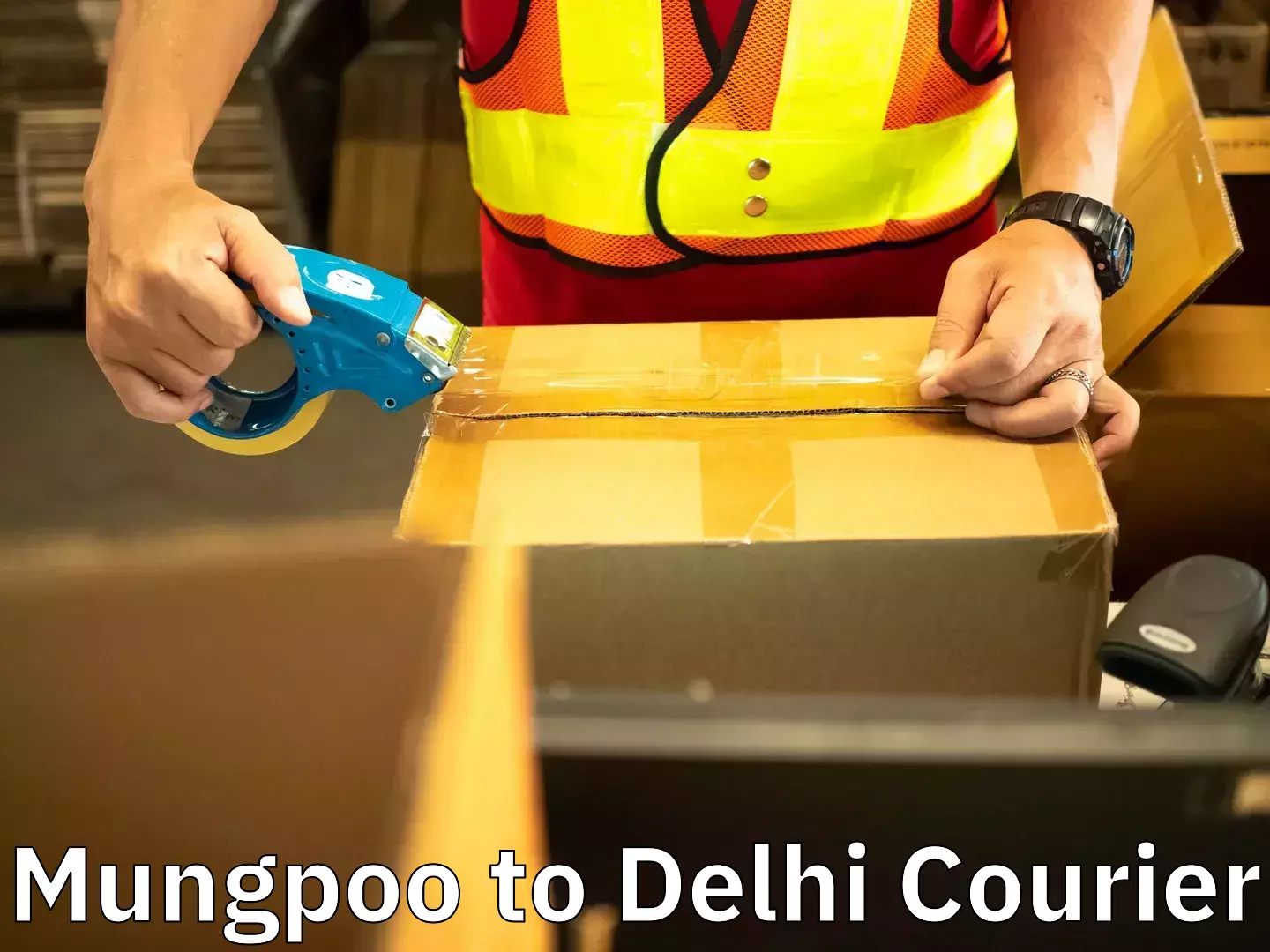 Tailored moving packages Mungpoo to University of Delhi