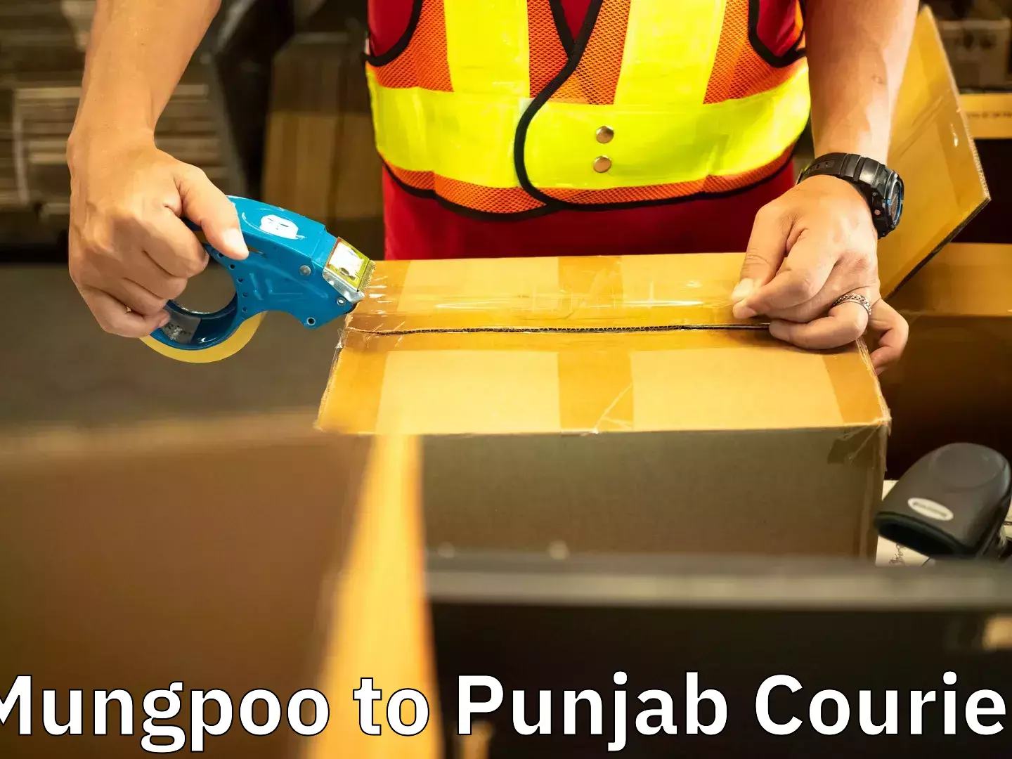 Home shifting services Mungpoo to Rampura Phul