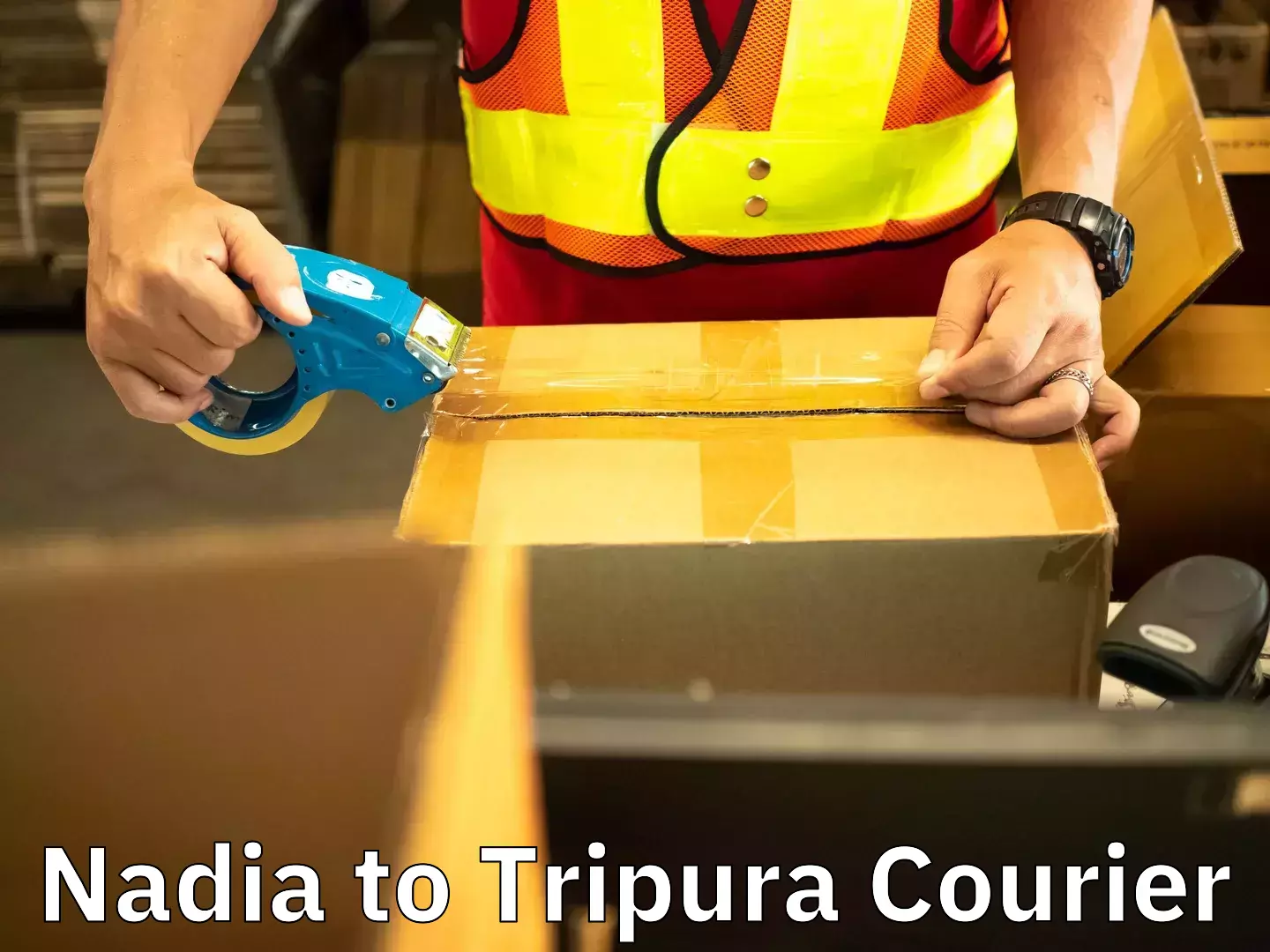 Smooth relocation services in Nadia to Udaipur Tripura