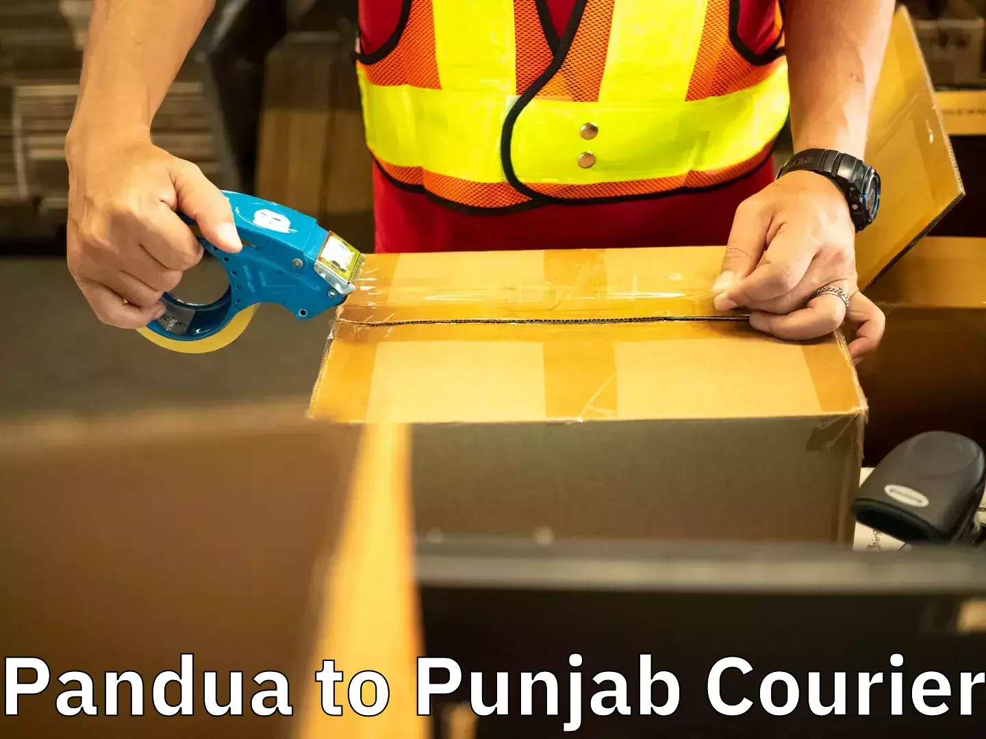 Door to door moving Pandua to Kapurthala