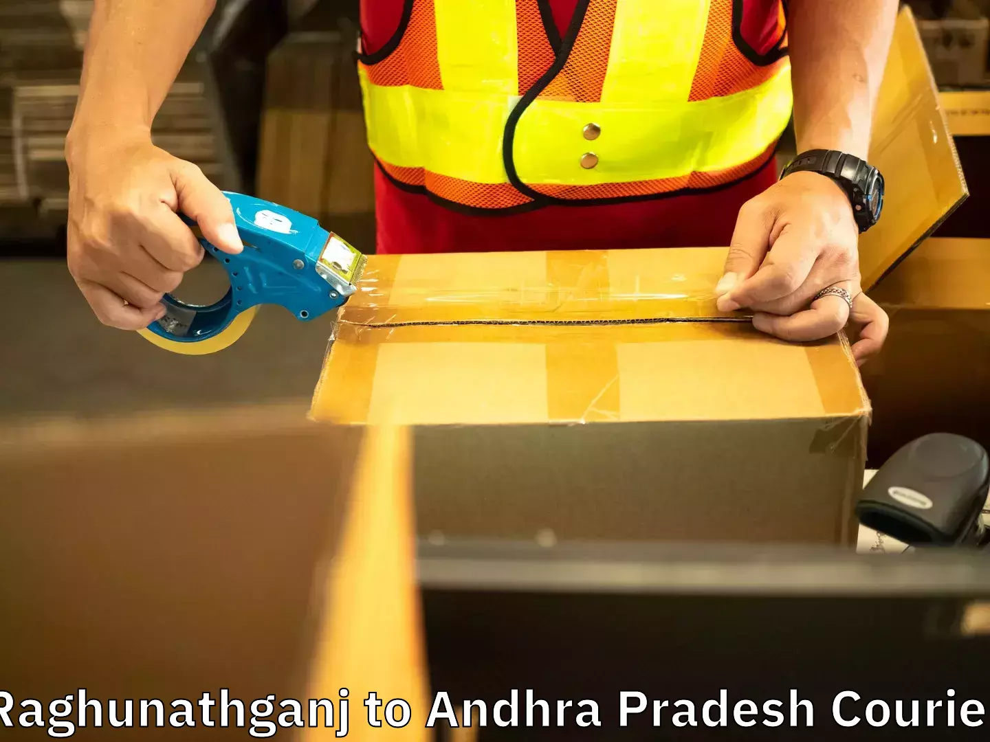 Expert moving solutions Raghunathganj to Chintalapudi