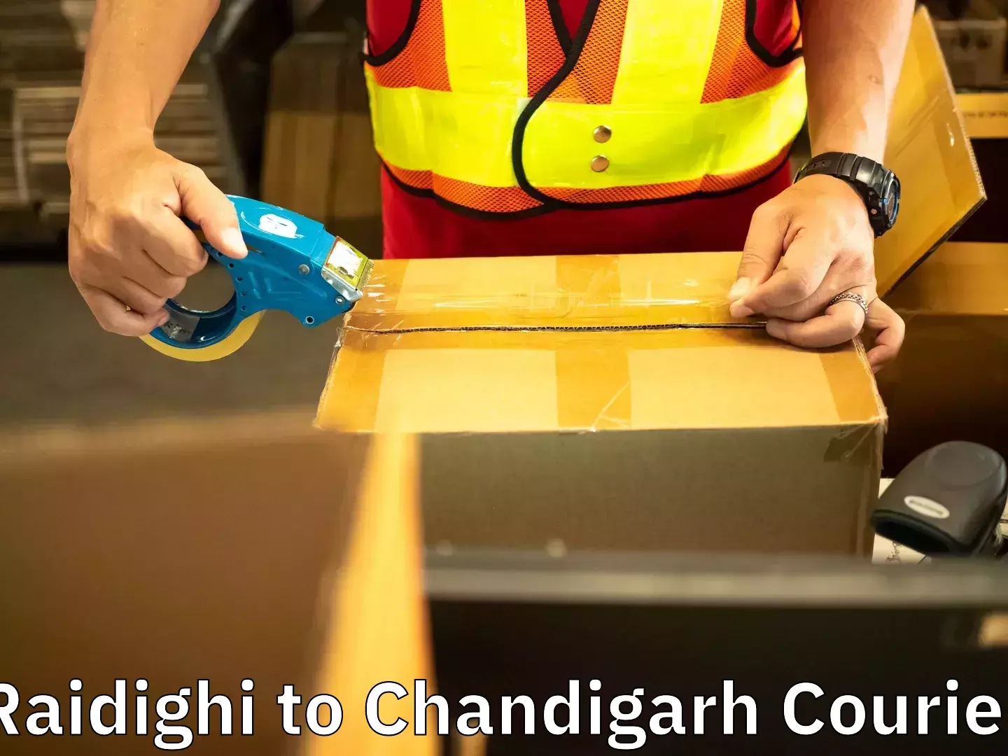 Home moving specialists in Raidighi to Panjab University Chandigarh