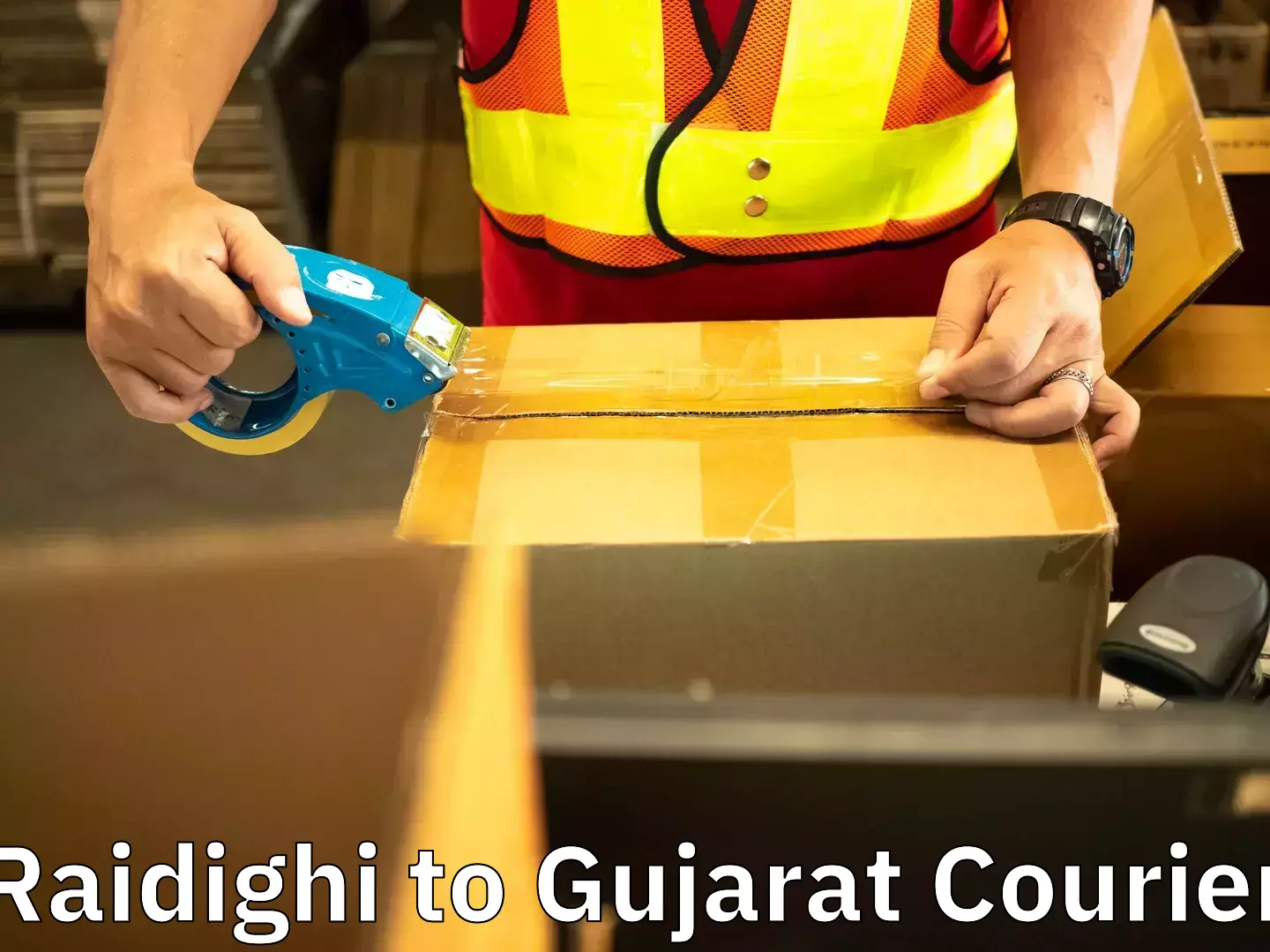 Household shifting services Raidighi to Gujarat