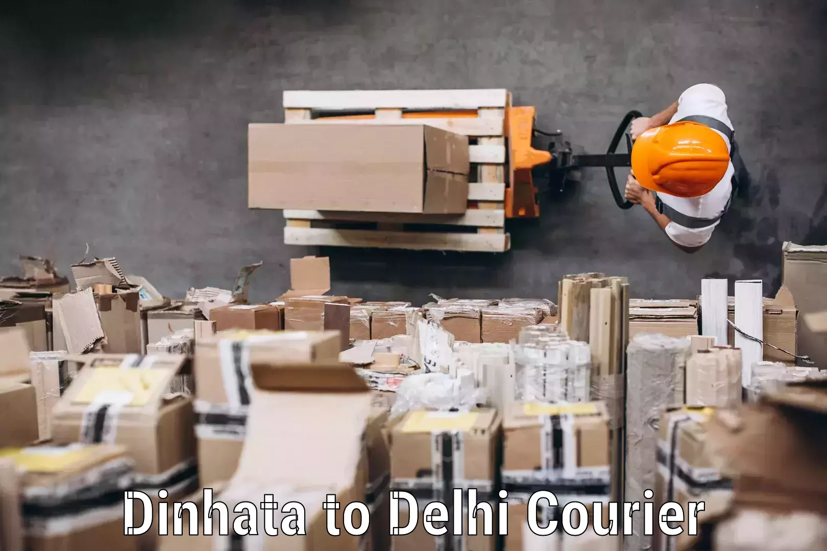 Baggage courier service Dinhata to Delhi