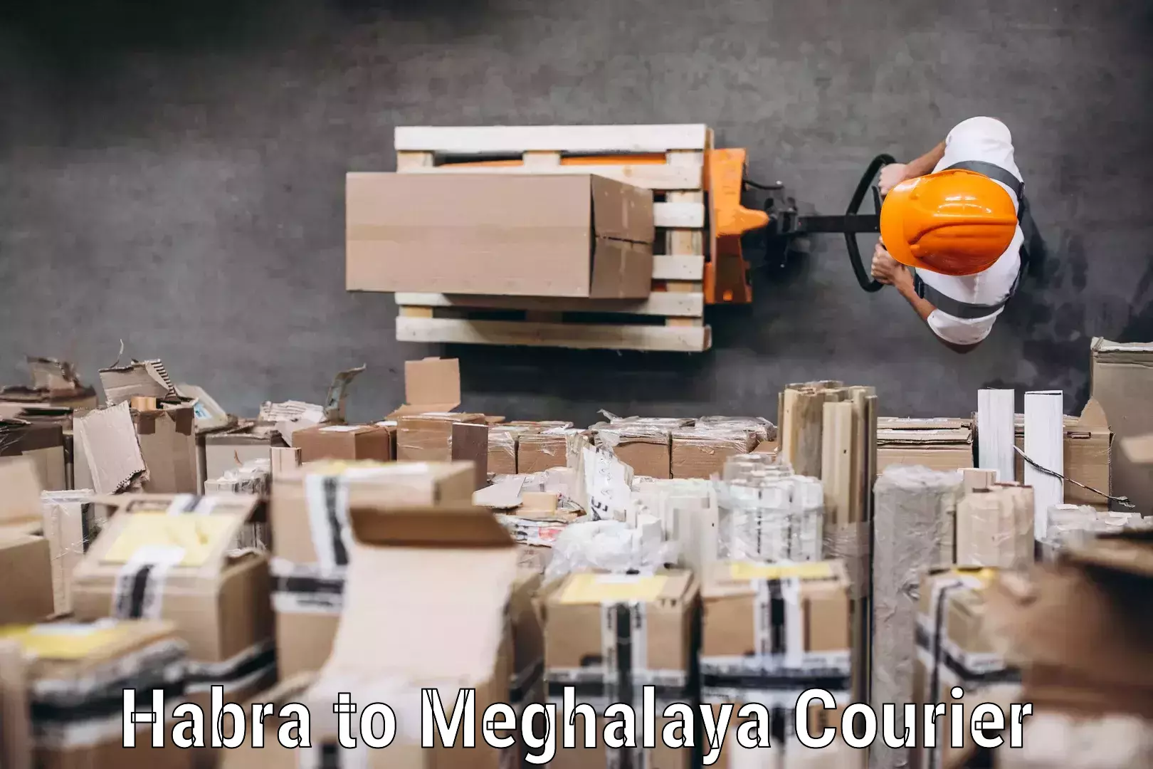 Comprehensive baggage courier Habra to Meghalaya