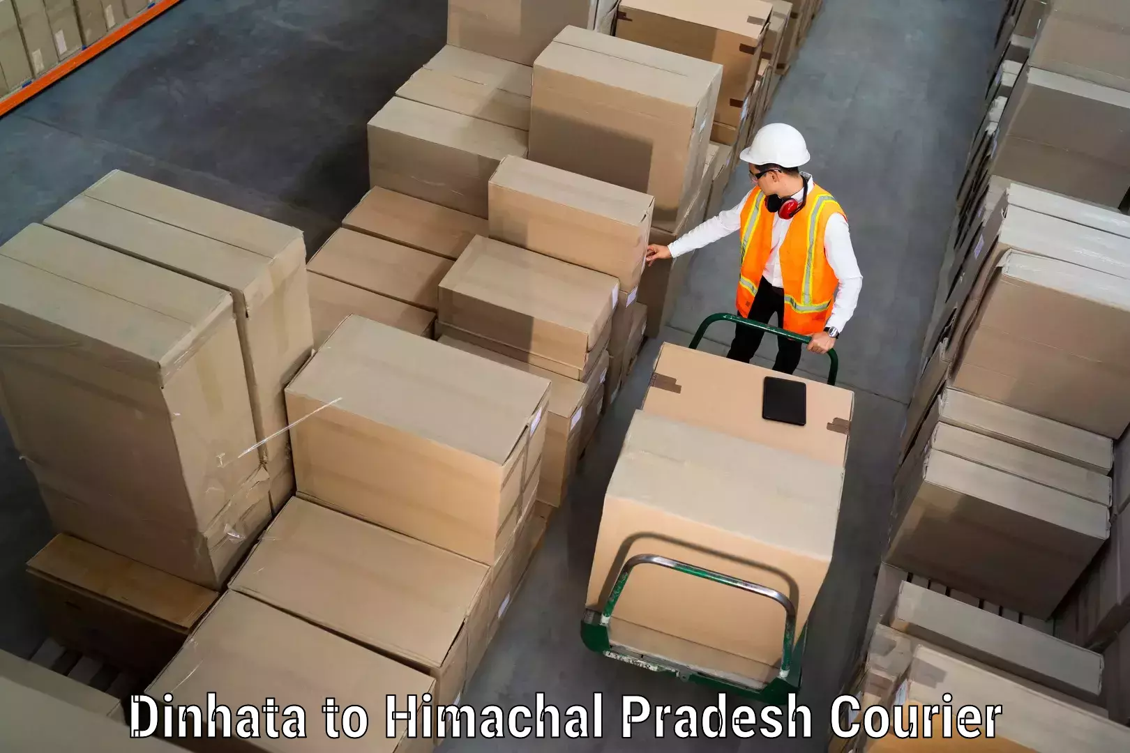 Baggage courier solutions Dinhata to Amb Una