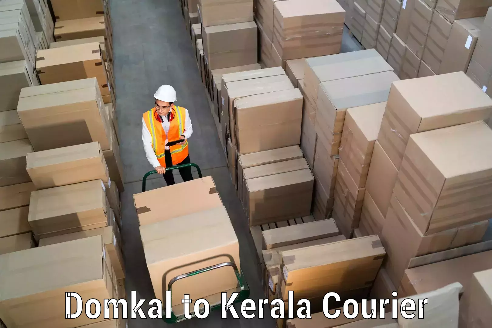 Baggage courier calculator Domkal to Wadakkanchery