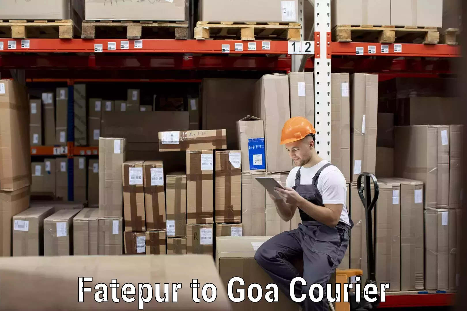 Luggage shipping options Fatepur to South Goa