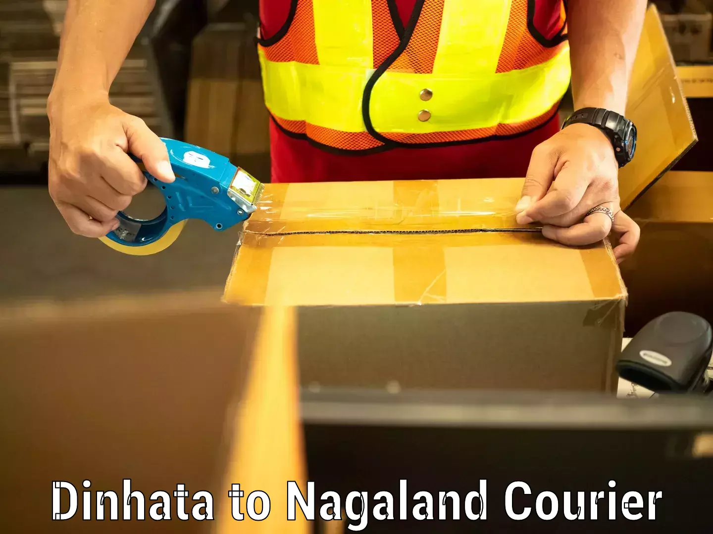 Online luggage shipping booking Dinhata to Nagaland