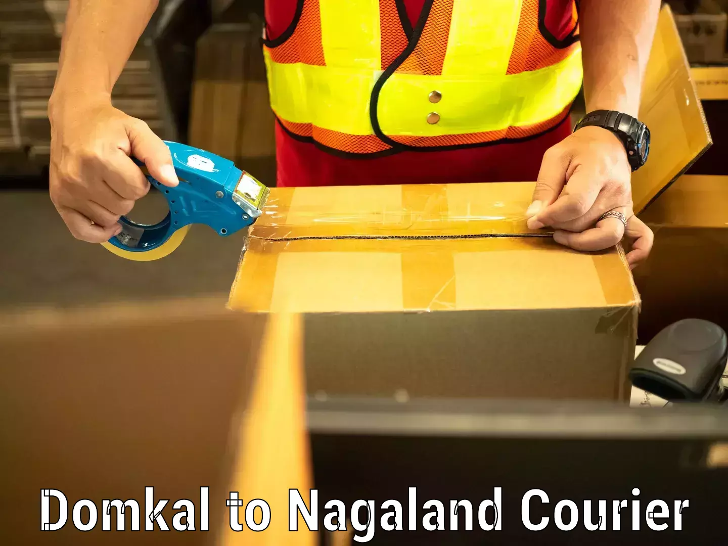 Short distance baggage courier Domkal to Nagaland