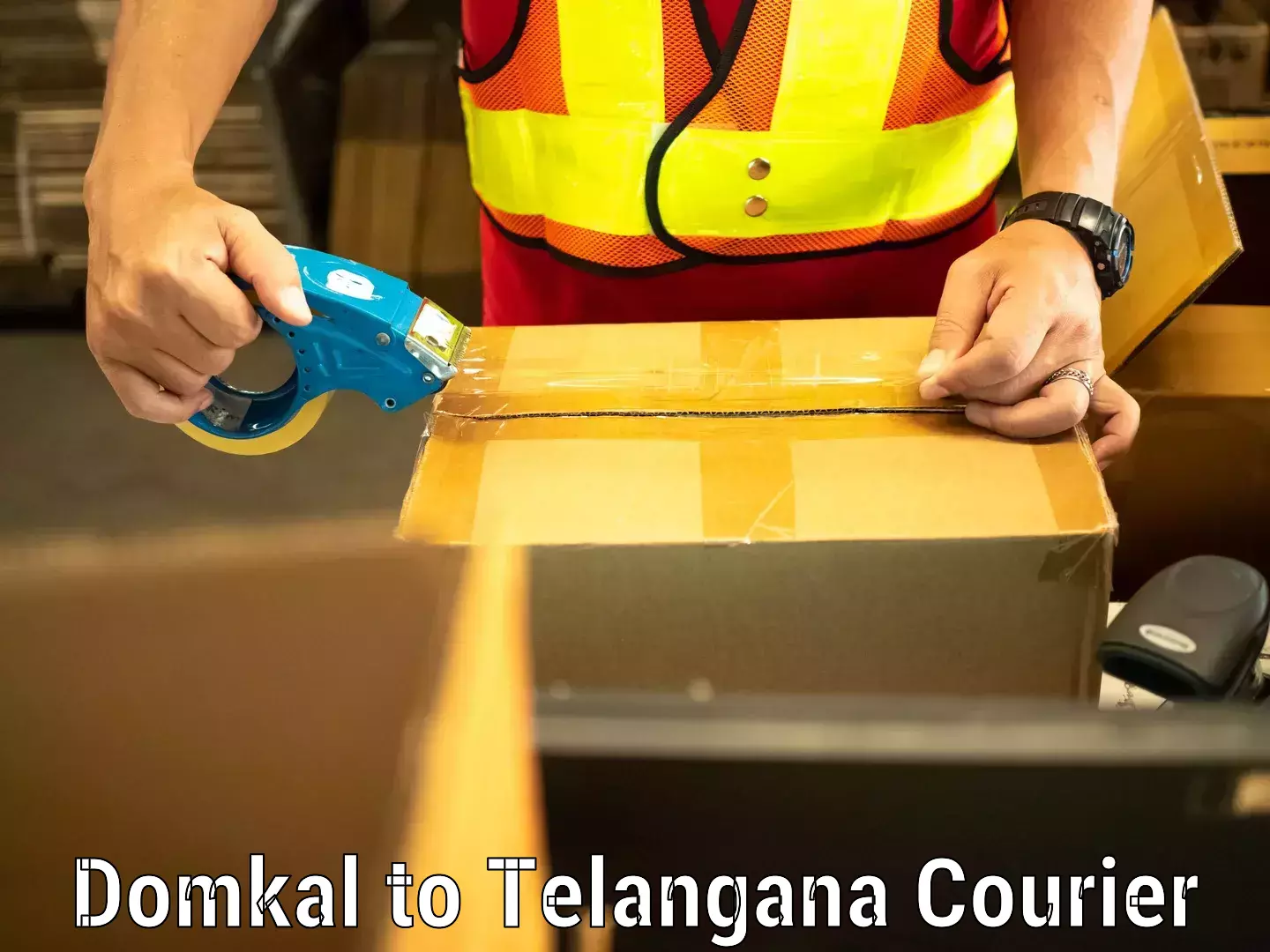 Single item baggage courier Domkal to Danthalapally