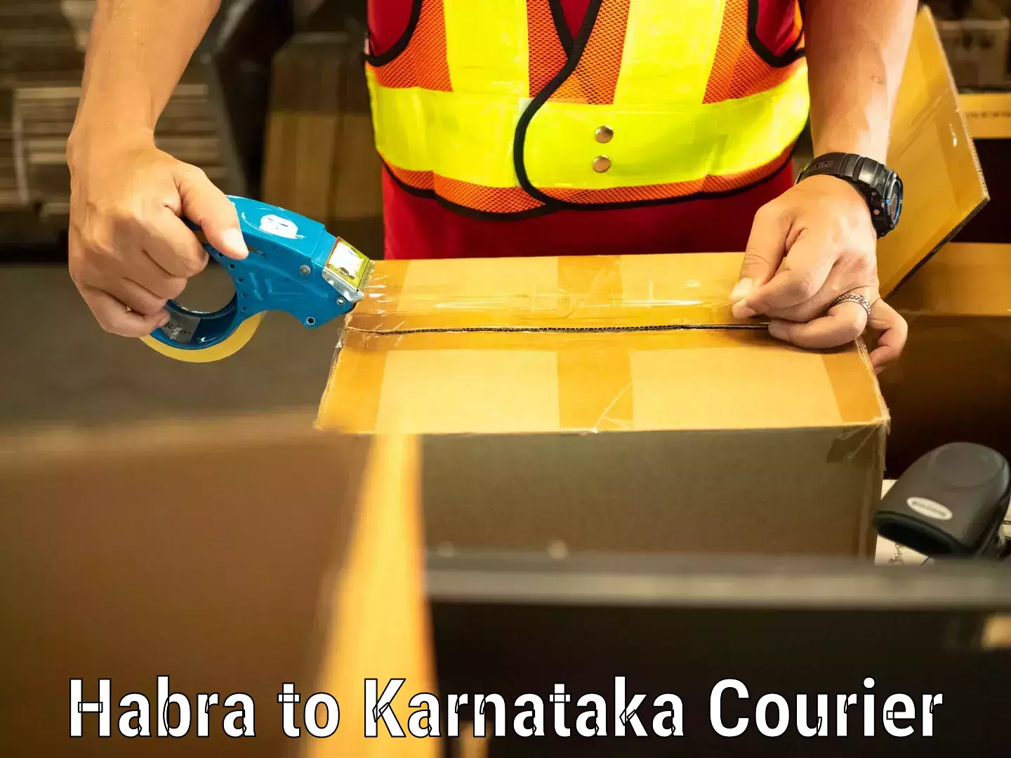 Train station baggage courier Habra to Doddaballapura