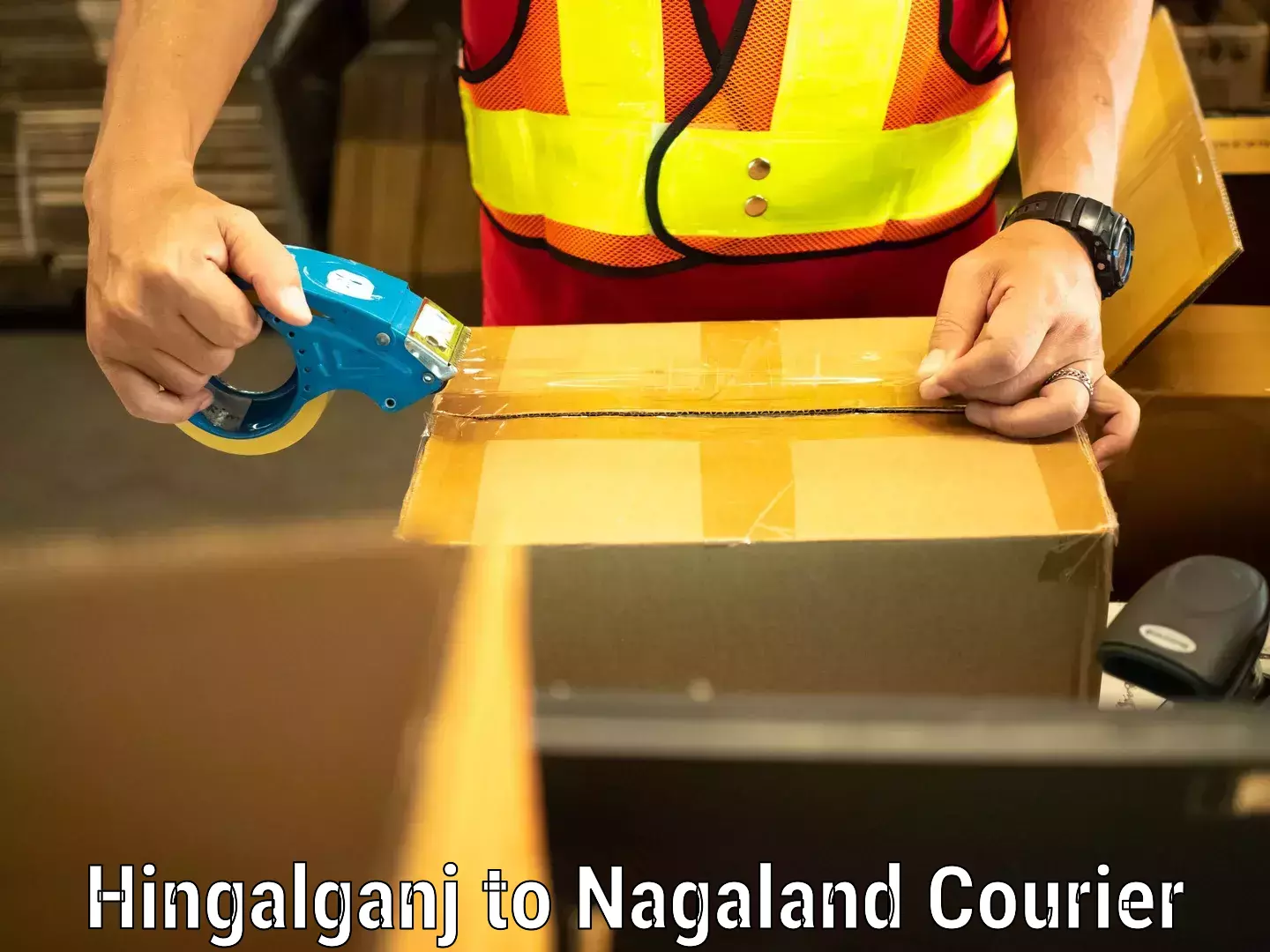 Unaccompanied luggage service Hingalganj to Nagaland