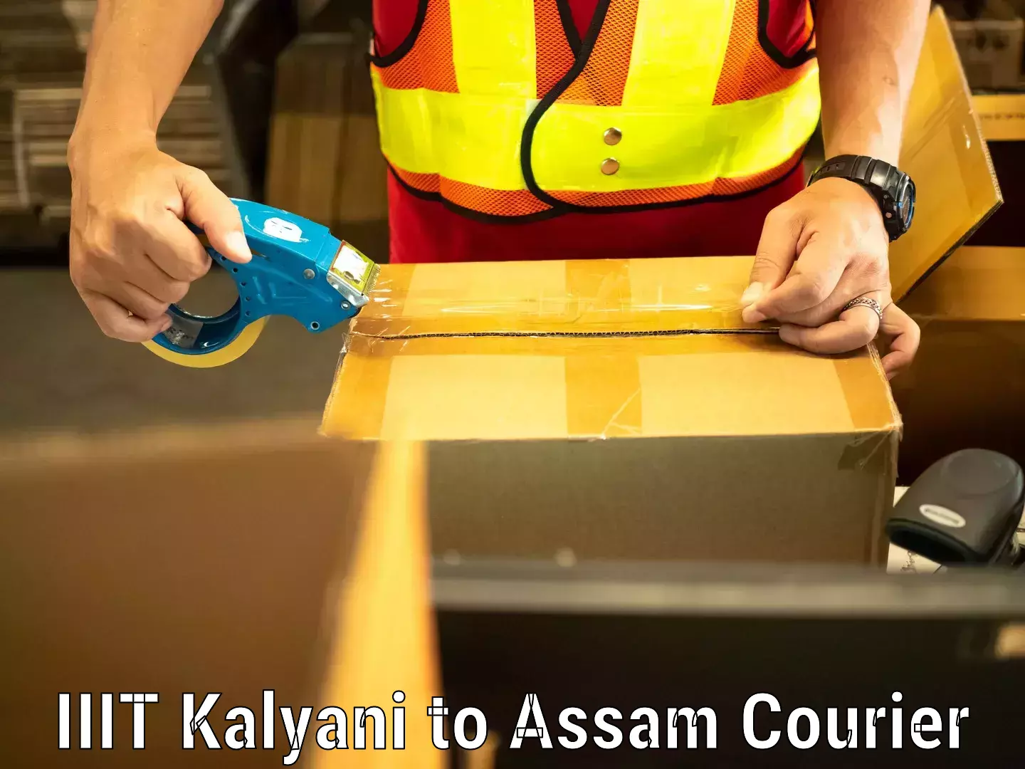 Luggage shipping service IIIT Kalyani to Majuli