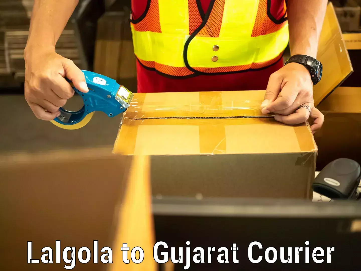 Baggage delivery solutions in Lalgola to Gandhinagar