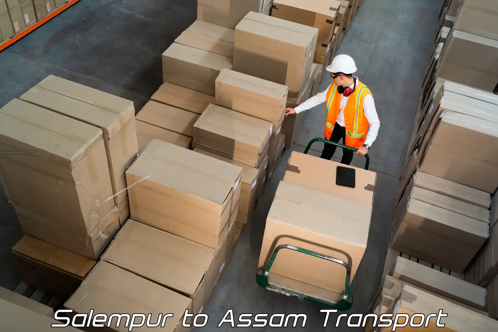 Vehicle courier services Salempur to Lala Assam