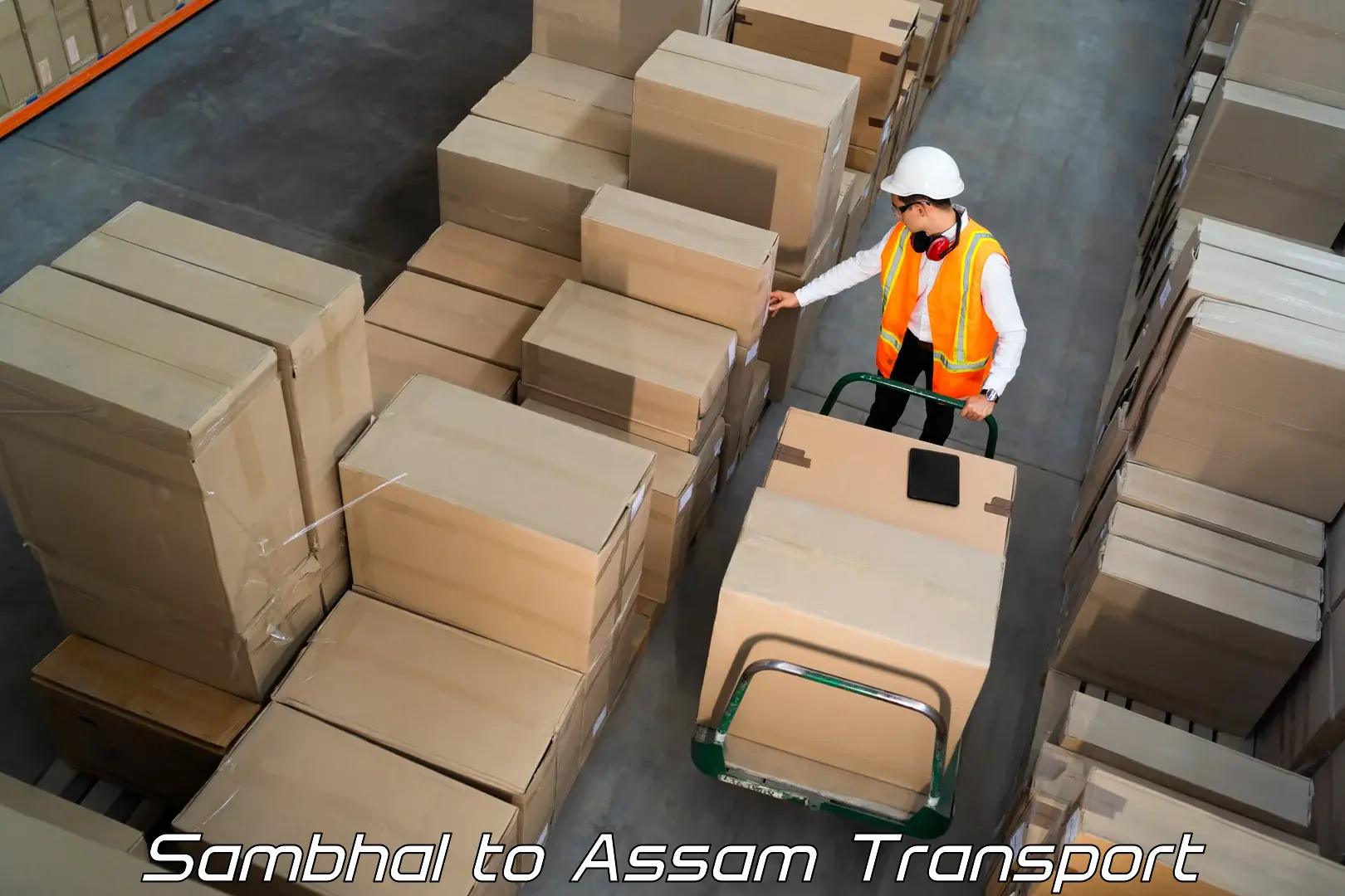 Furniture transport service Sambhal to Cachar