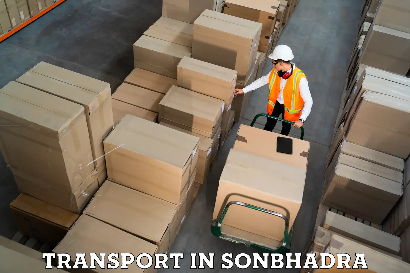 Bike shipping service in Sonbhadra