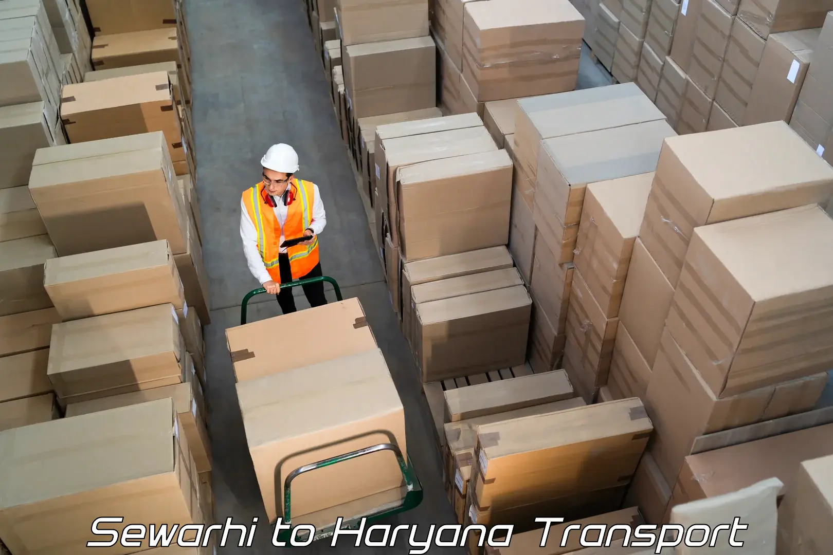 Container transport service Sewarhi to Maharshi Dayanand University Rohtak