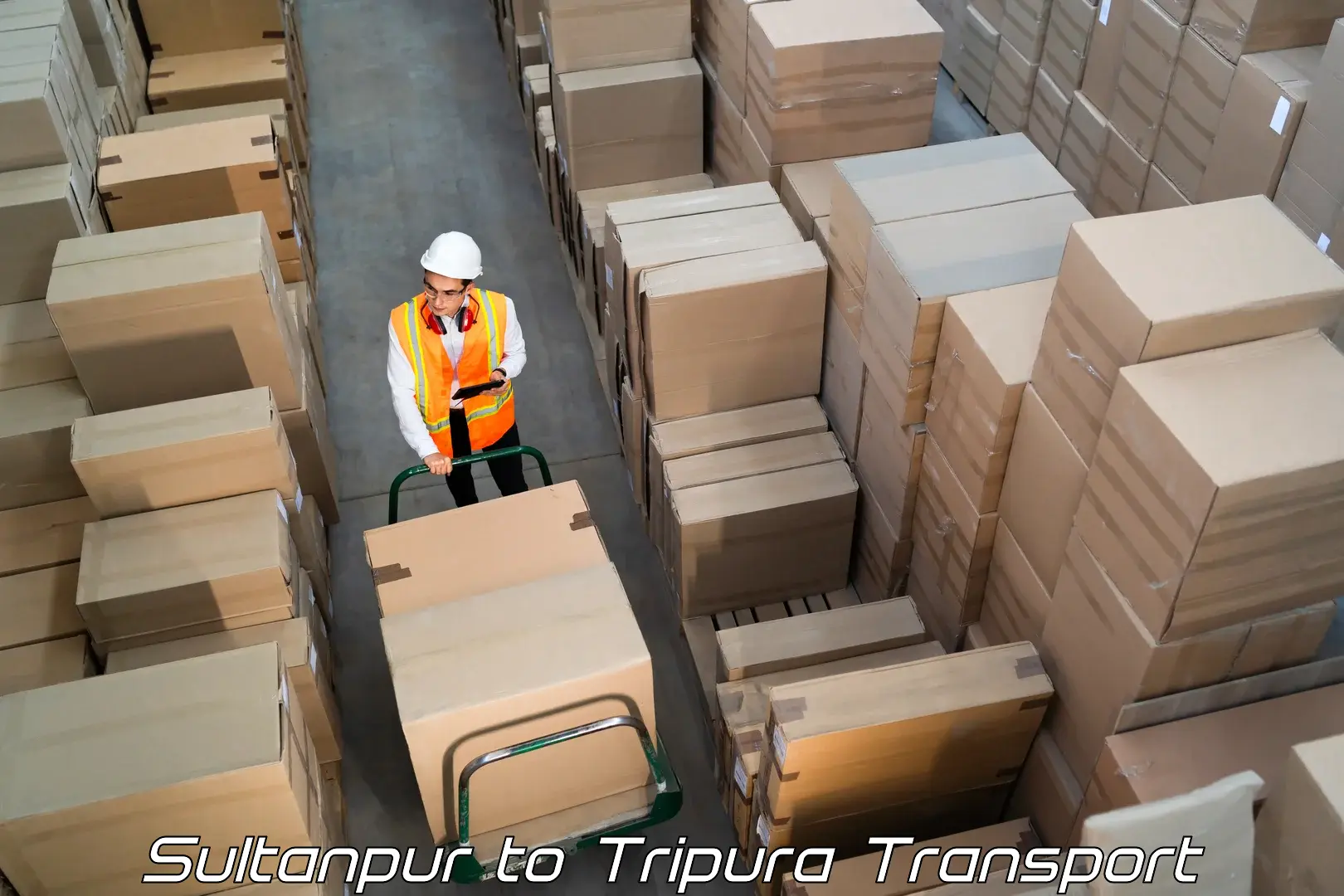 International cargo transportation services Sultanpur to North Tripura