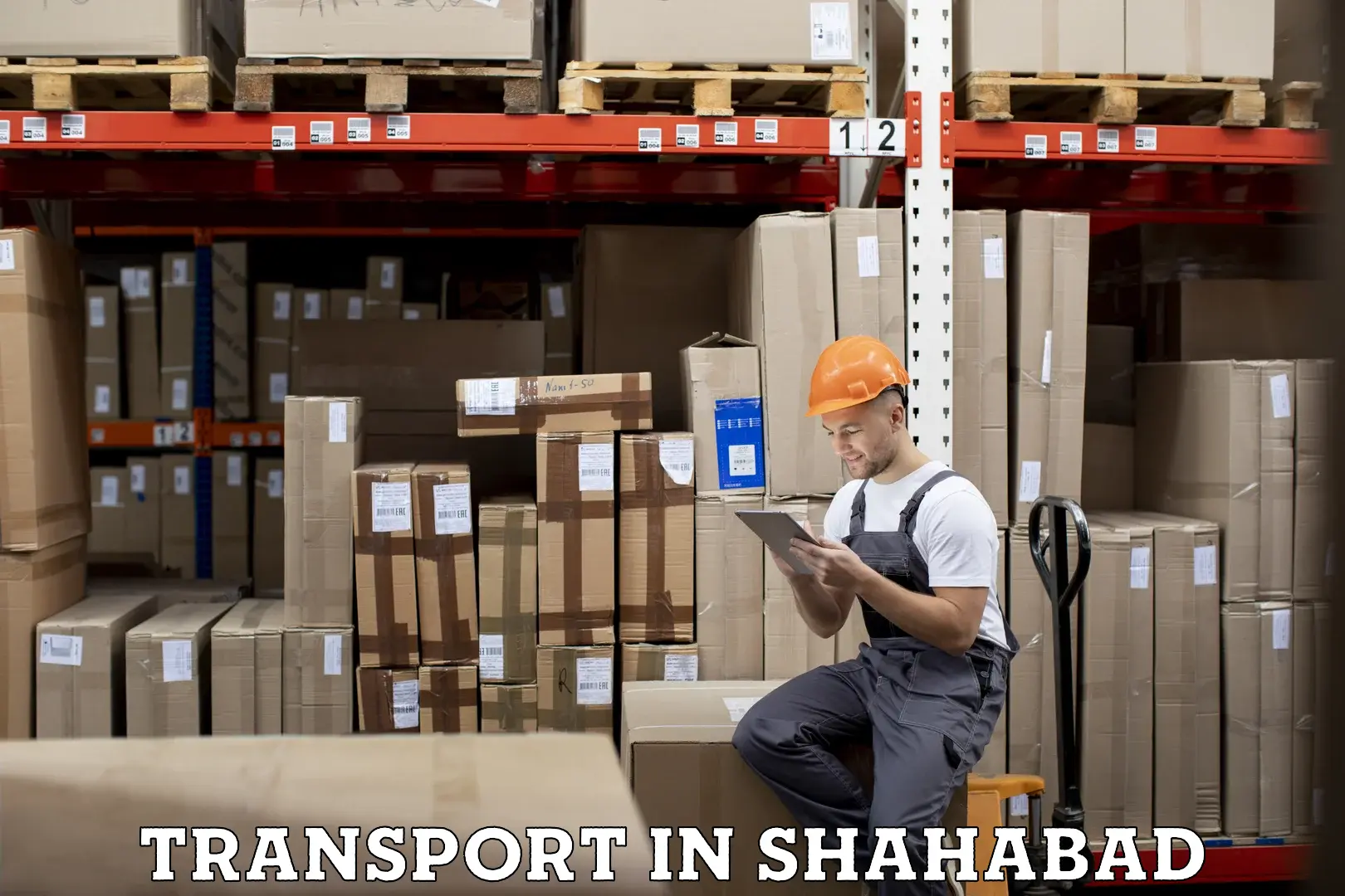 Domestic goods transportation services in Shahabad