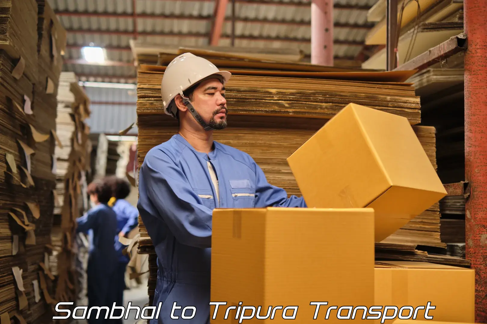 Truck transport companies in India Sambhal to Teliamura